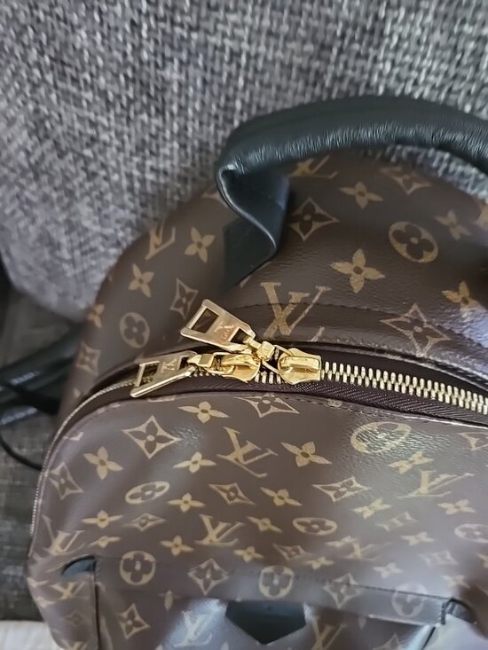 Louis-vuitton Palm Springs MM backpack main image 5